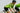 2023-2024 Mexico Bib Shorts Woman