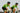 2023-2024 Mexico Bib Shorts Men
